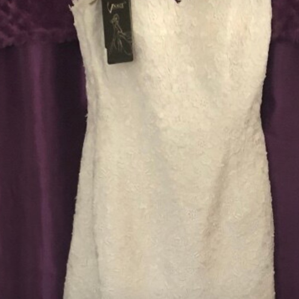 Lace Wedding dress